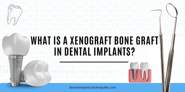 What is a xenograft bone graft in dental implants
